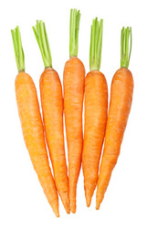 Similar image 1336730