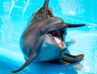 Similar image 1336768