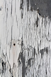 Similar image 1336824