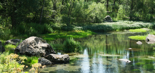 Similar image 1336912