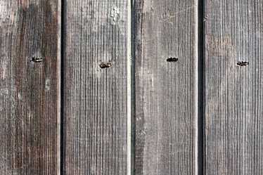 Similar image 1336930