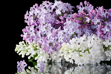 Similar image 1337466