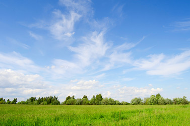 Similar image 1337475