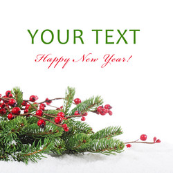 Similar image 1337491