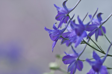 Similar image 1337774