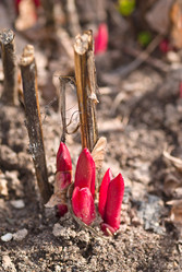 Similar image 1337820