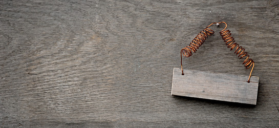 Similar image 1337951