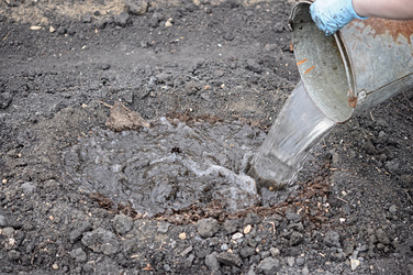 Similar image 1337954