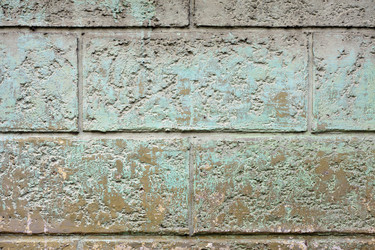 Similar image 1338764