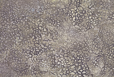 Similar image 1338808