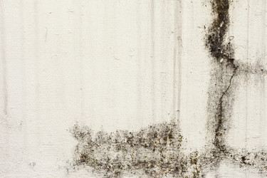 Similar image 1338821