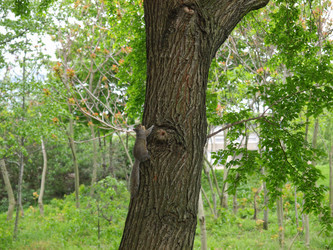 Similar image 1338865