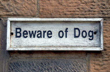 Similar image 1338934