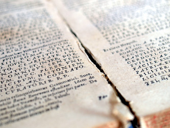 Similar image 1338998