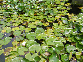 Similar image 1339009