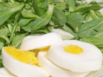 Similar image 1339050