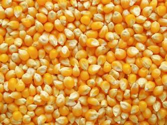 Similar image 1339081