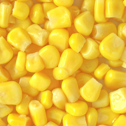 Similar image 1339118