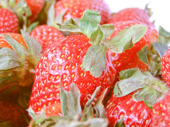 Similar image 1339282