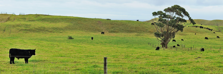 Similar image 1339333