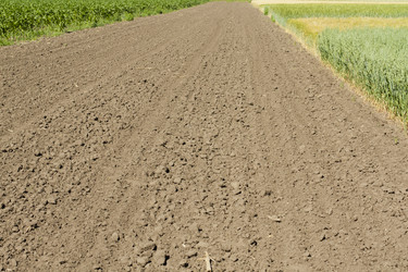 Similar image 1339373