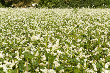 Similar image 1339380