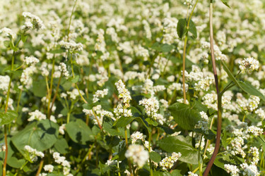 Similar image 1339381