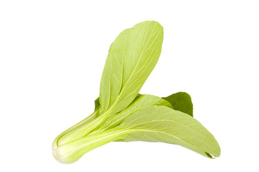 Similar image 1339385