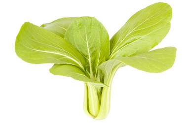 Similar image 1339395