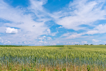 Similar image 1339403