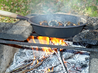 Similar image 1339557