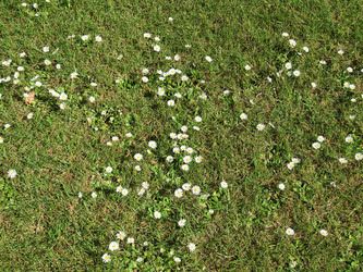 Similar image 1339597