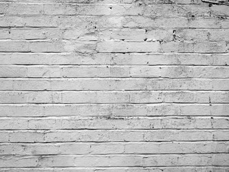 Similar image 1339635