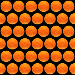 Similar image 1339668