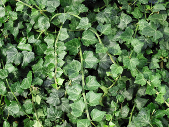 Similar image 1339674