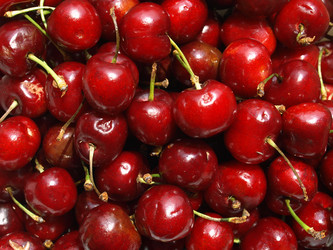 Similar image 1339700