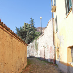 Similar image 1339719