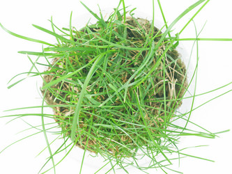 Similar image 1339723