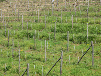 Similar image 1339911