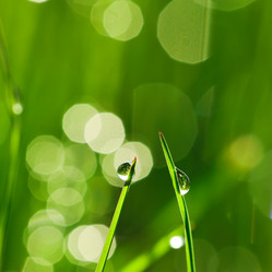 Similar image 1339937