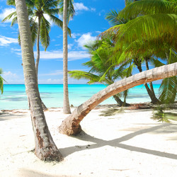 Similar image 1339953