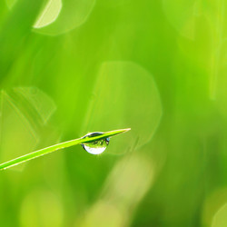 Similar image 1339966