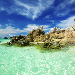 Similar image 1339977