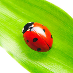 Similar image 1339992