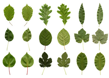 Similar image 1340063