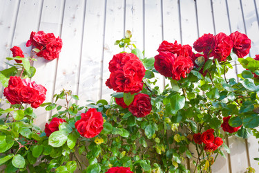 Similar image 1340079