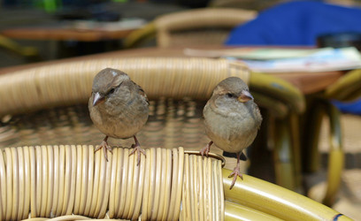 Similar image 1340100