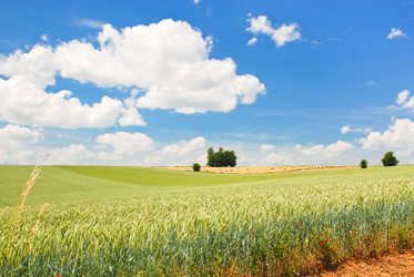 Similar image 1340106