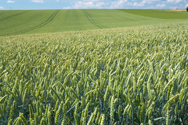 Similar image 1340116