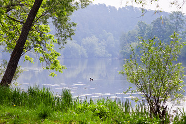 Similar image 1340130